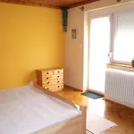 Apartamento Viola *
