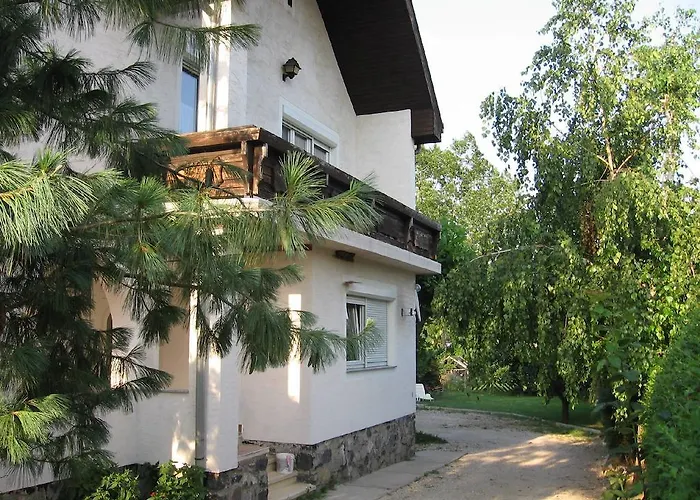 Viola Vendeghaz Kehidakustány