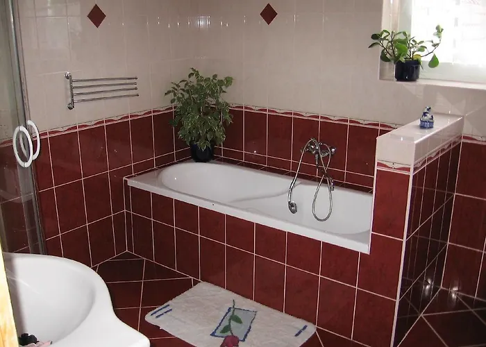 Apartment Viola Vendeghaz *