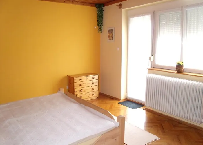 Apartment Viola Vendeghaz *