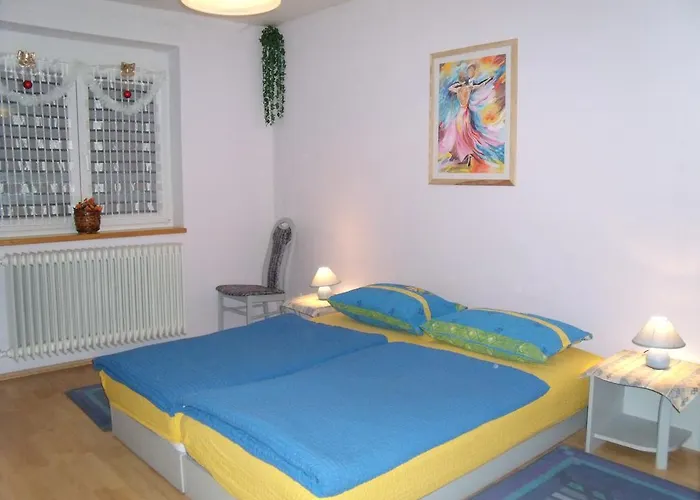 Apartment Viola Vendeghaz *